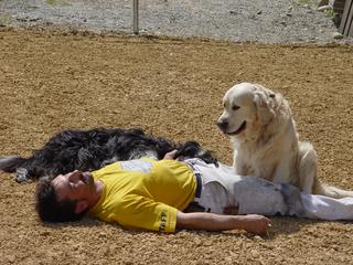 2006-06-10 13:06:33